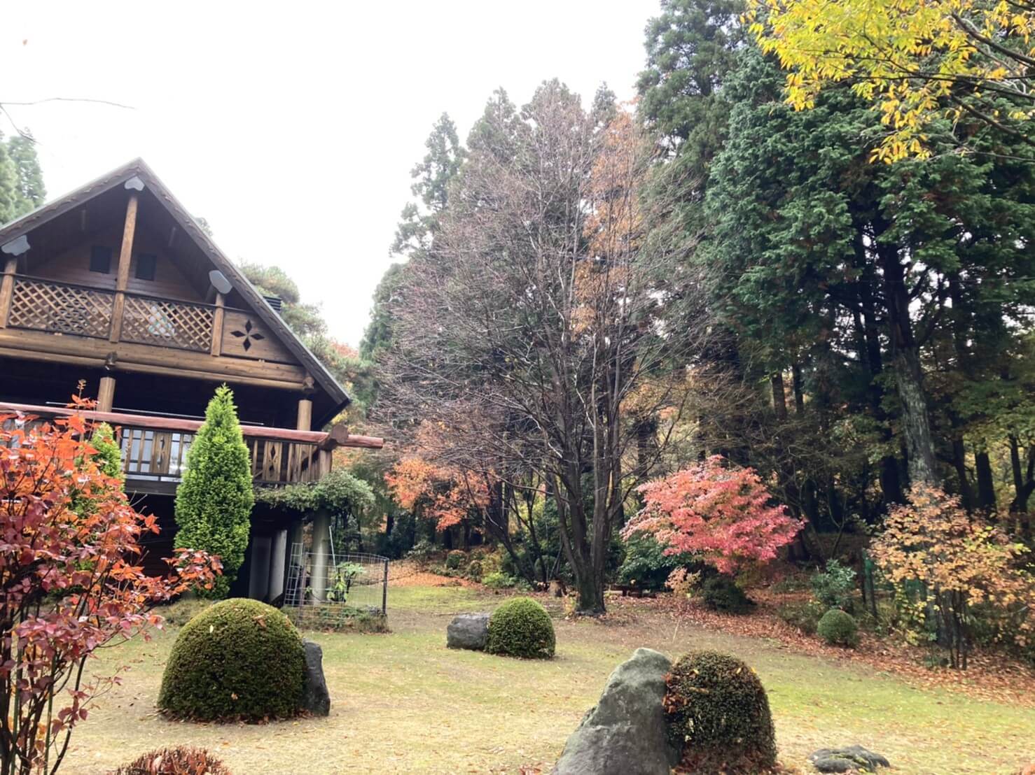 南阿蘇村一関 の剪定は山猿にお任せください 株 山猿